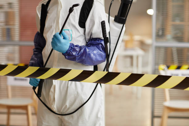 Professional Sewage Cleanup technician working in Westminster, CO